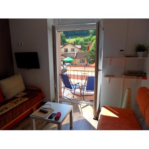 Apartament Kraszewskiego
