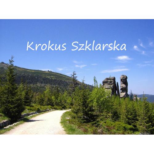 Apartament Krokus Szklarska