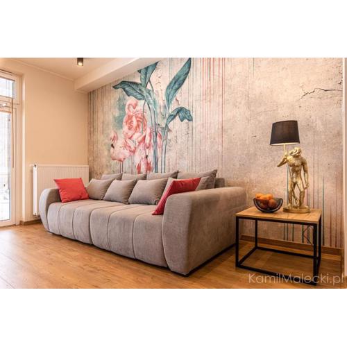 Apartament Kropa Bałtyku - Rena