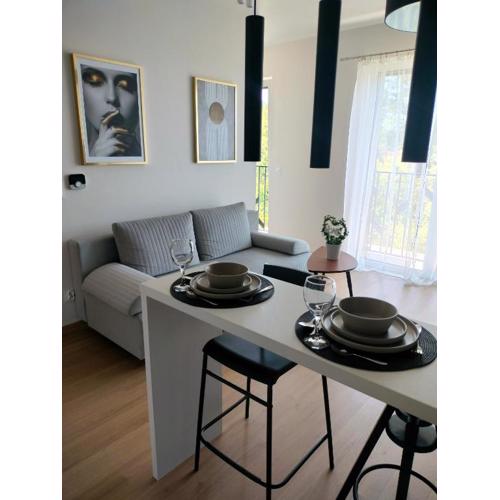 Apartament Kwiatkowskiego, self check-in, parking