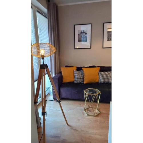 Apartament Łąkoszyn Kutno