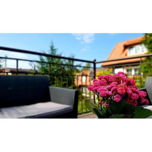 Apartament Lawenda