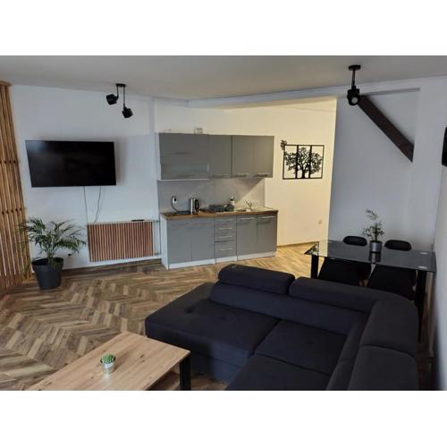 Apartament Lewi