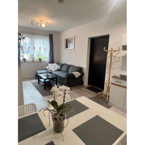 Apartament LEXY