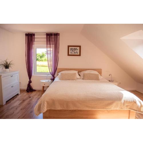 Apartament Lipowa