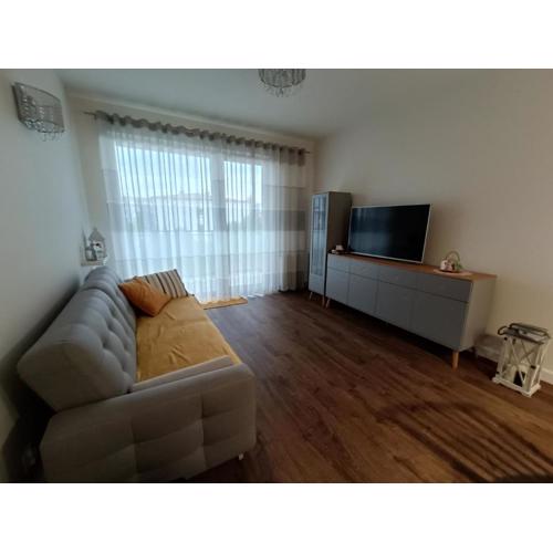 Apartament Łokietka