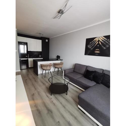 Apartament Londyńska 11