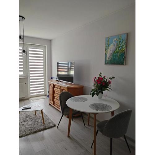 Apartament Londyńska 9a