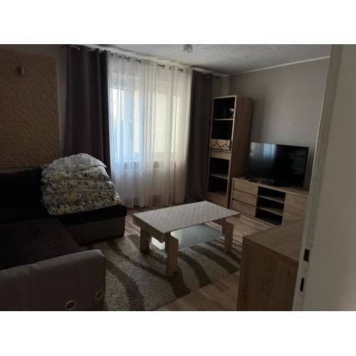 Apartament M6 w Centrum Wiela