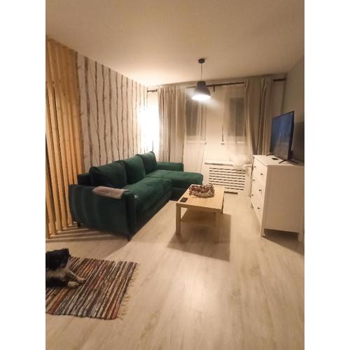 Apartament Magia Dusznik