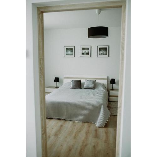 Apartament Magnolia -centrum