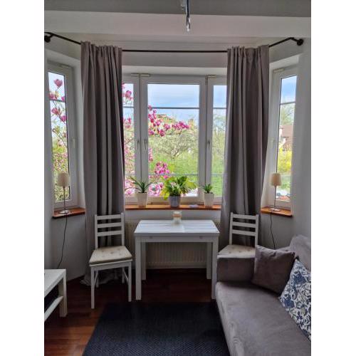 Apartament Magnolia