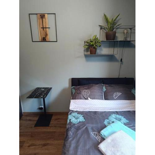 Apartament Magnolia