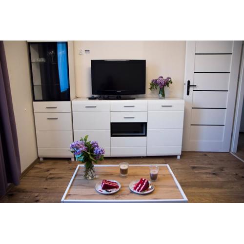 Apartament Malczewskiego