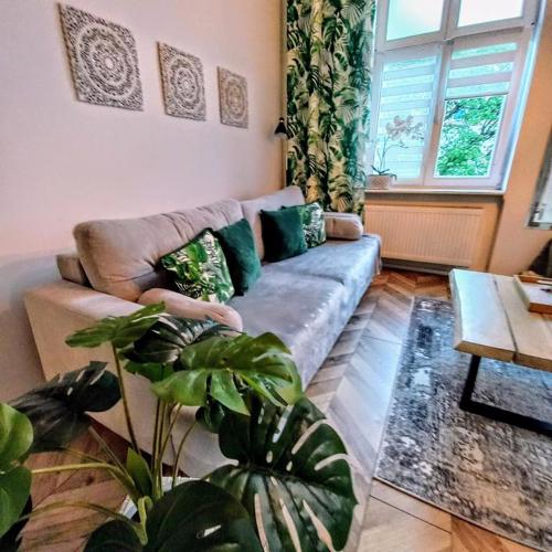 Apartament Mickiewicz - Center