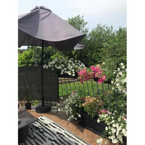 Apartament Mickiewicza
