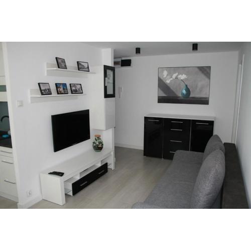 Apartament Miedzianka