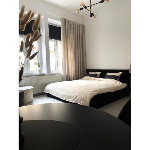 Apartament Miedziany Śródmieście