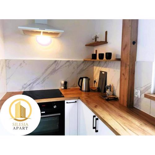 Apartament Miedziany