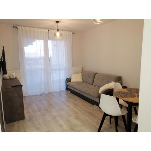 Apartament Mielczarskiego