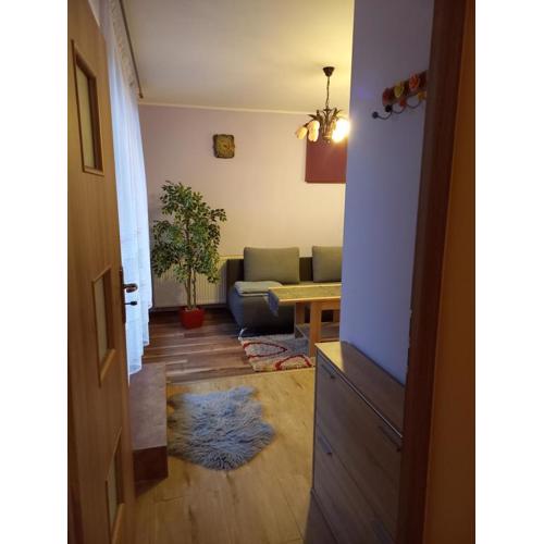 Apartament-Mieszkanie Gniezno-na doby