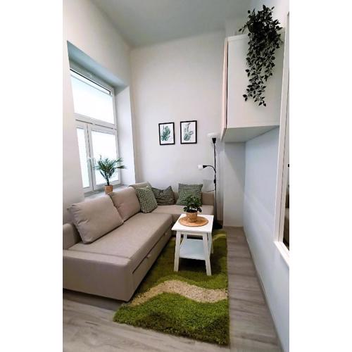 Apartament MIĘTOWY Krakowskie Przedmieście 26