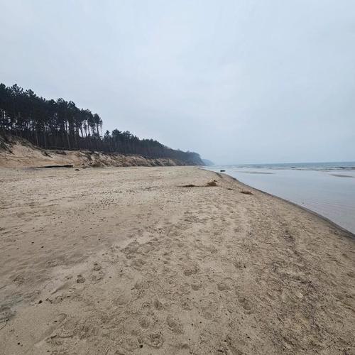 Apartament Miętowy