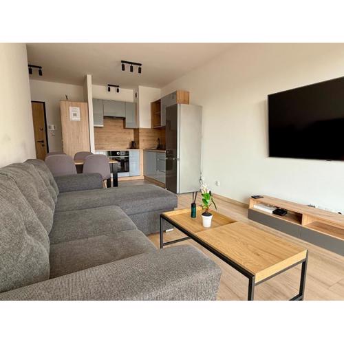 Apartament Mike