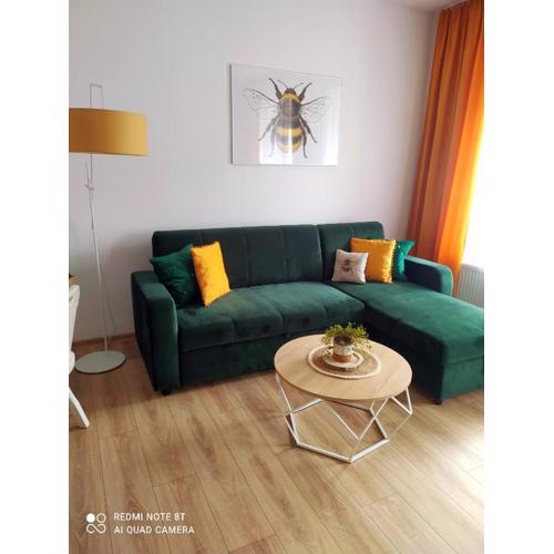 Apartament Miodownik
