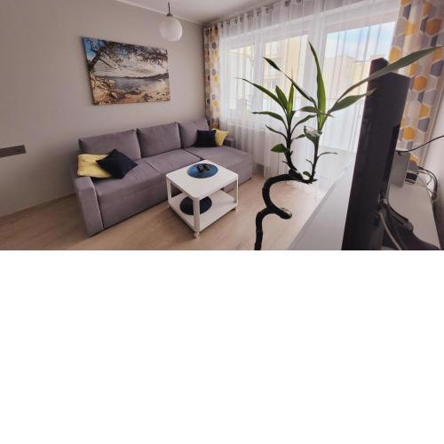 Apartament Miodowy Dom
