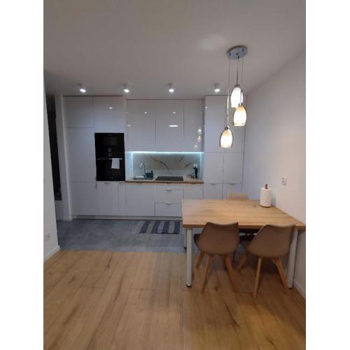 Apartament Modrzewiowy