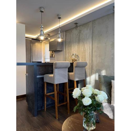 Apartament Modrzewskiego