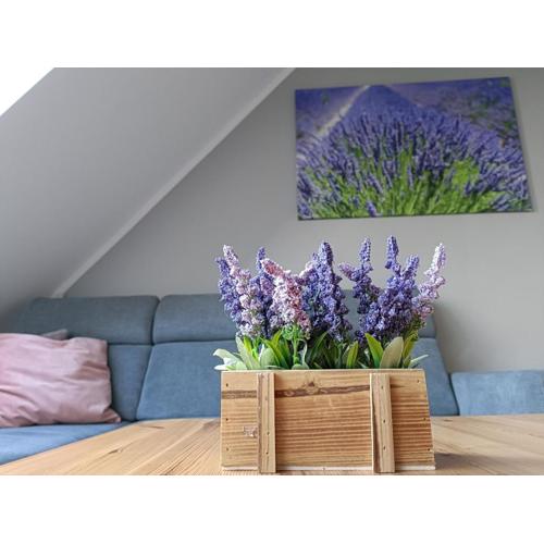 Apartament Morska Lawenda