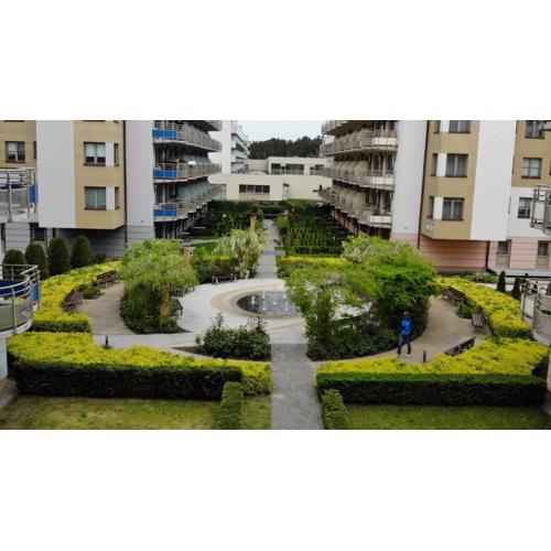 Apartament Motyl