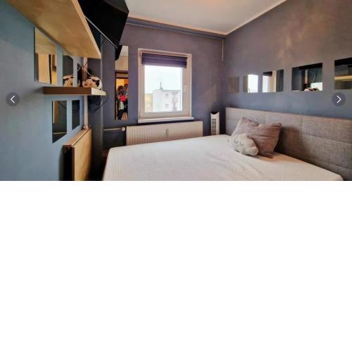 Apartament na Grunwaldzie