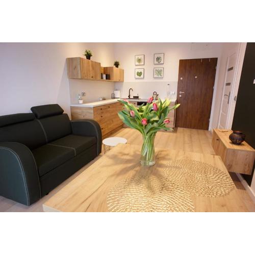 Apartament na Piernikowym z miejscem postojowym