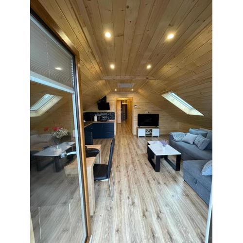 Apartament na poddaszu u Reni