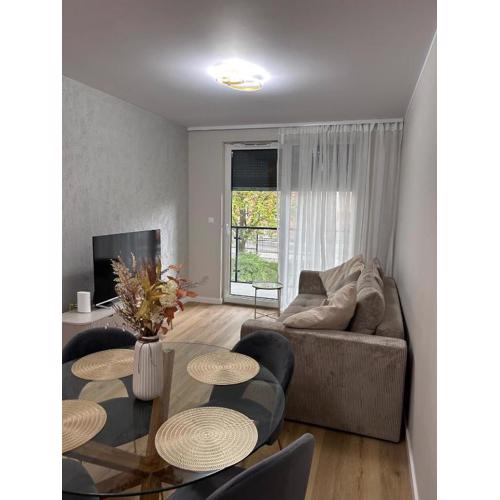 Apartament na Wisłą
