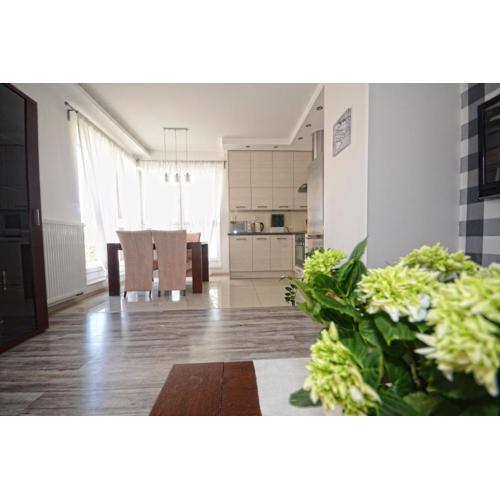 Apartament nad Drwęcą II