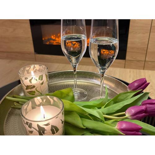 Apartament nad jeziorem Długim Leśna # 32