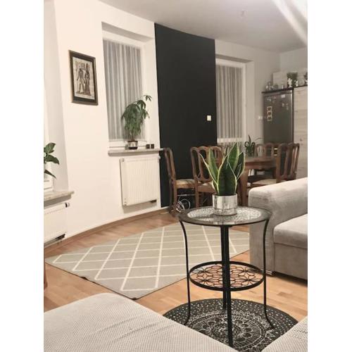 Apartament nad rzeką przy parku zamkowym