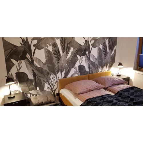 Apartament NATURA