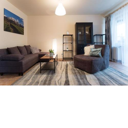 Apartament Negro i Peti w centrum APARTZAKOP