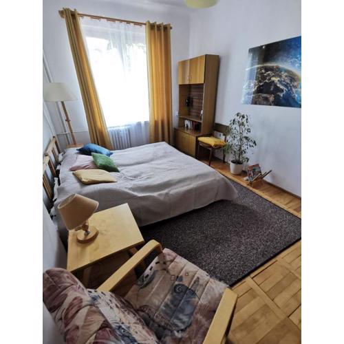 APARTAMENT New Vintage