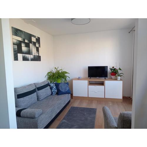 Apartament No 39