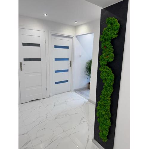 Apartament NOWE MIASTO