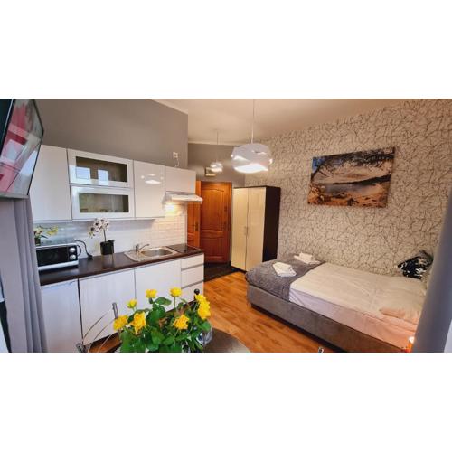 Apartament nr 1 z balkonem, apartament nr 7 z tarasem, Wilcza przy Szlaku