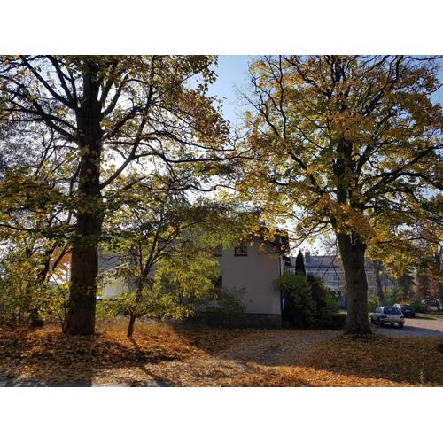 Apartament nr 3 w Starym Nadleśnictwie