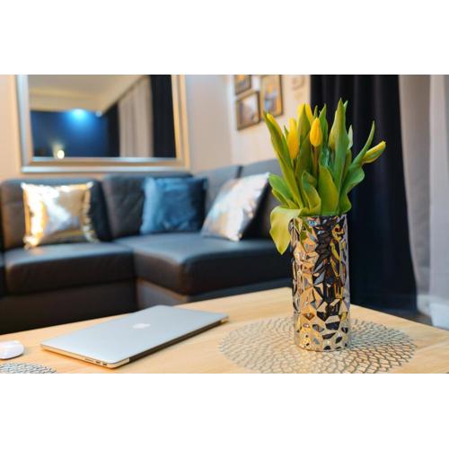 Apartament Oaza