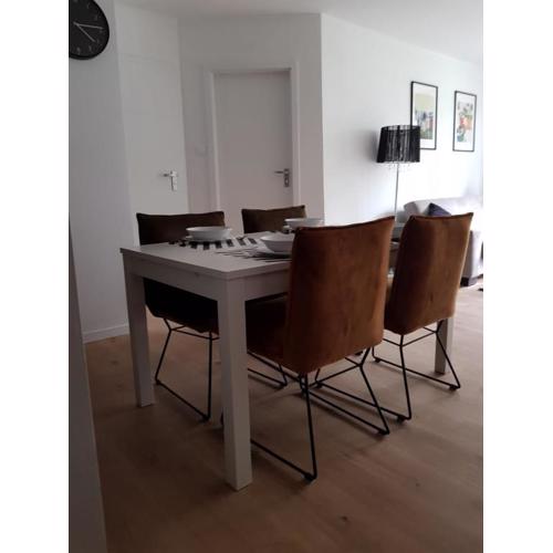 Apartament Okrzei